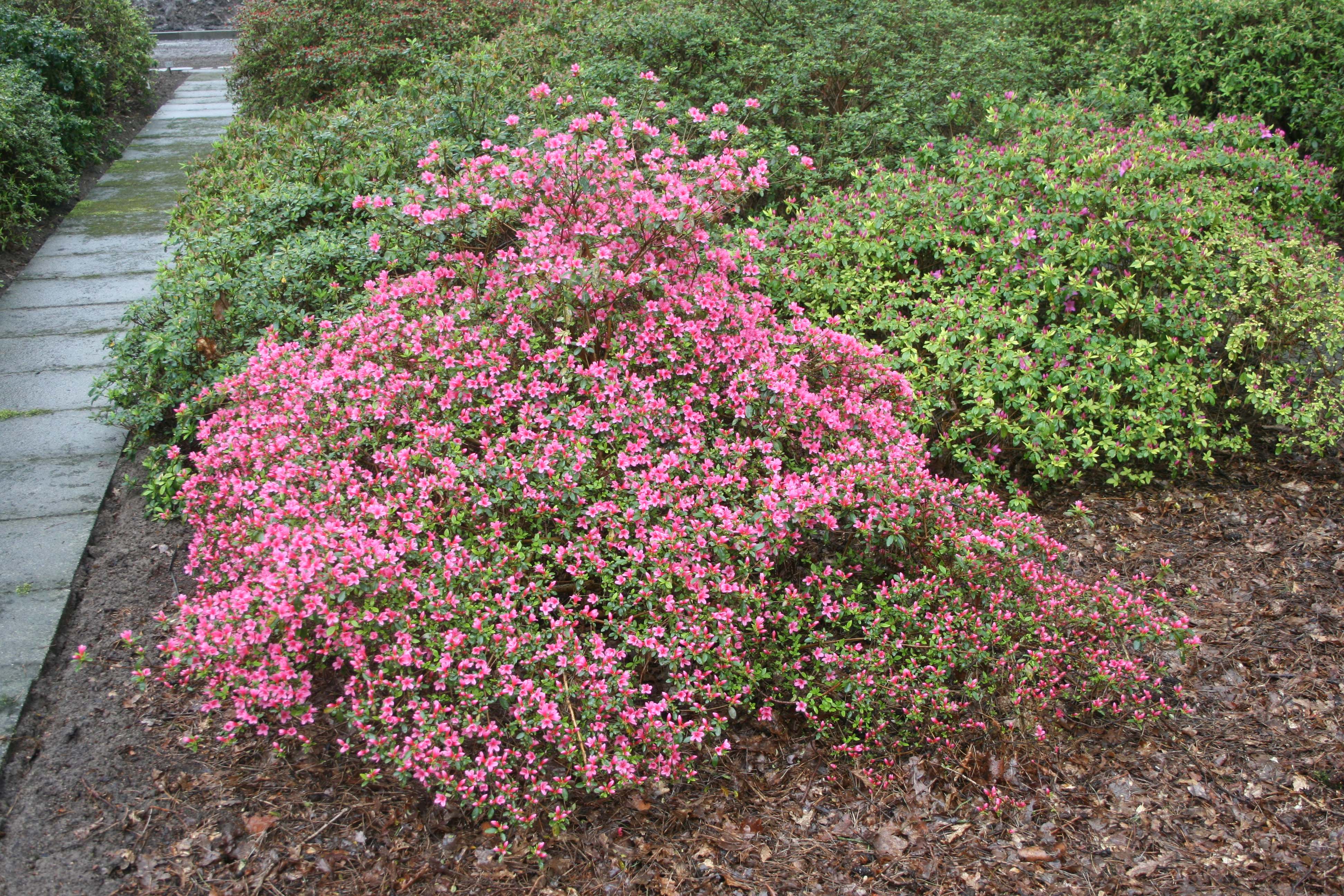 Schaubild 9