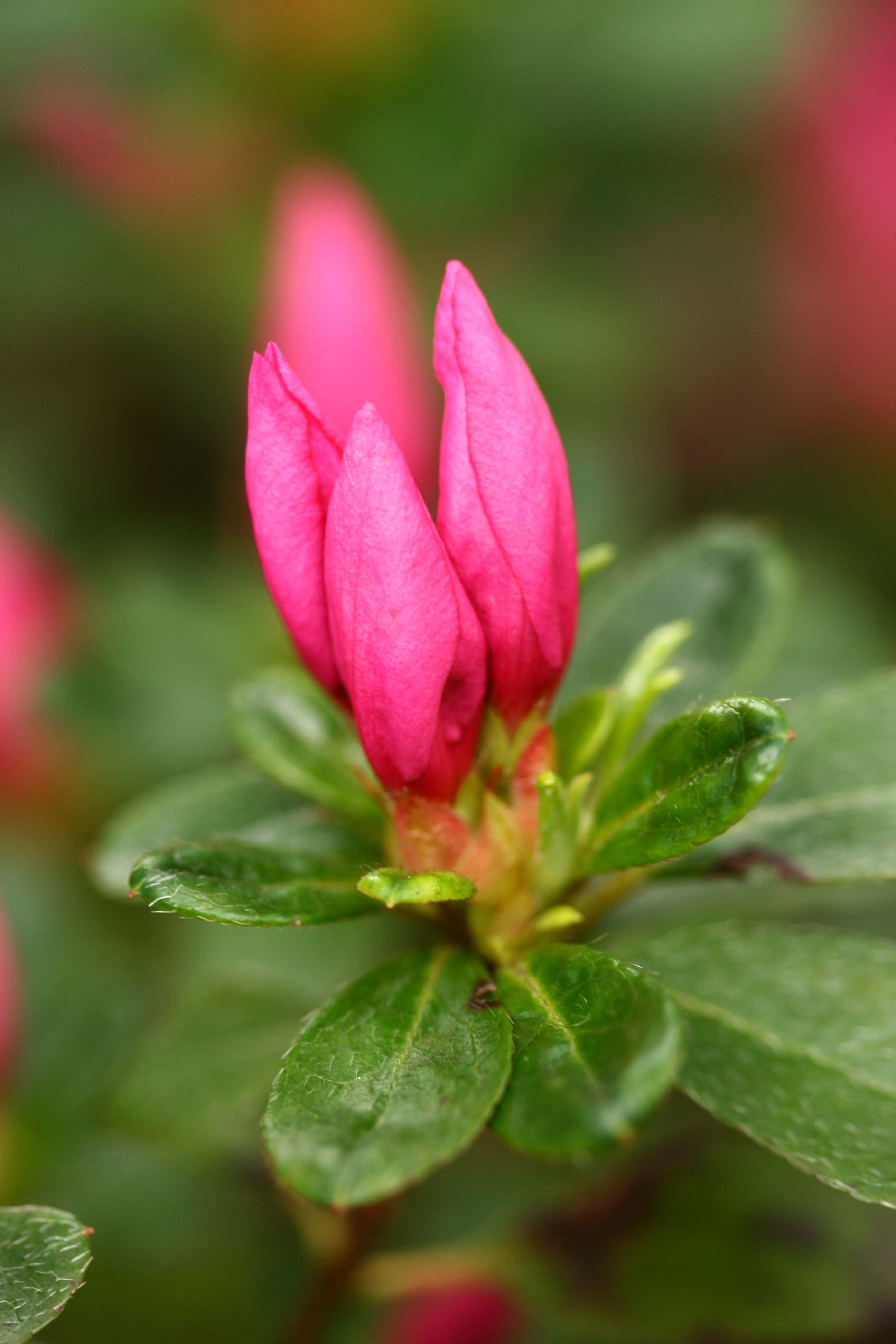 Schaubild 5