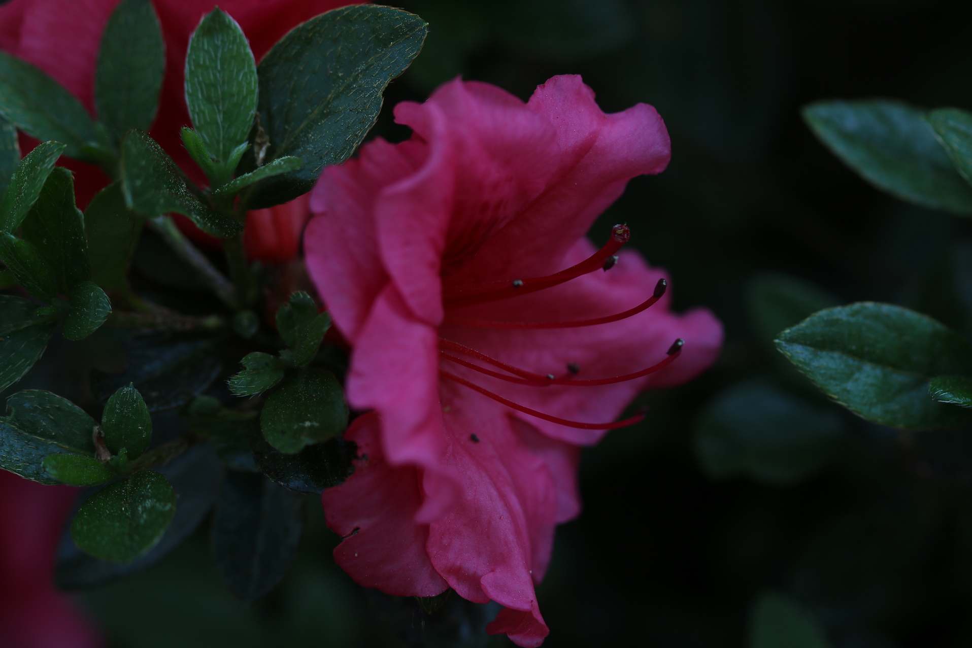 Schaubild 3
