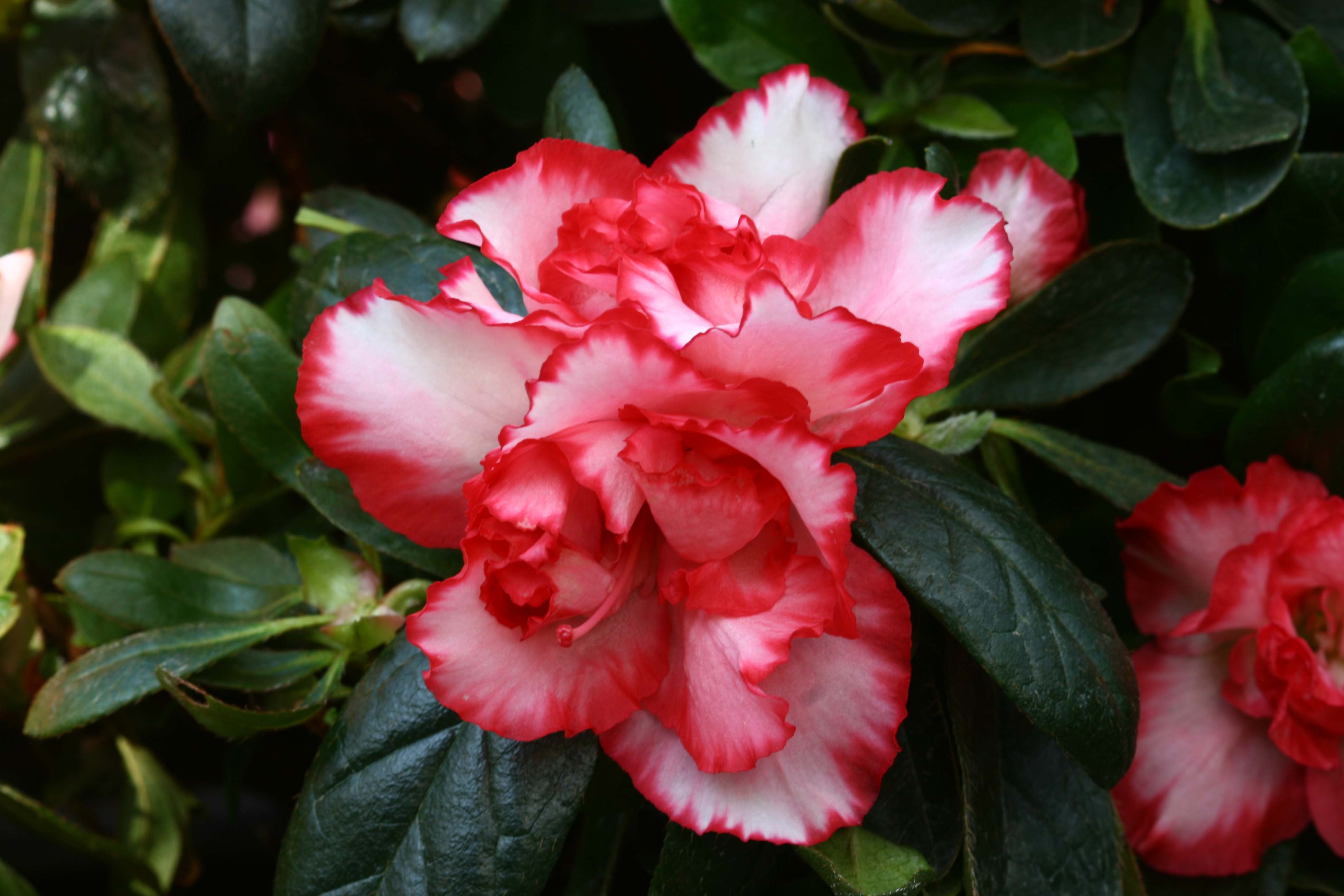 Schaubild 16