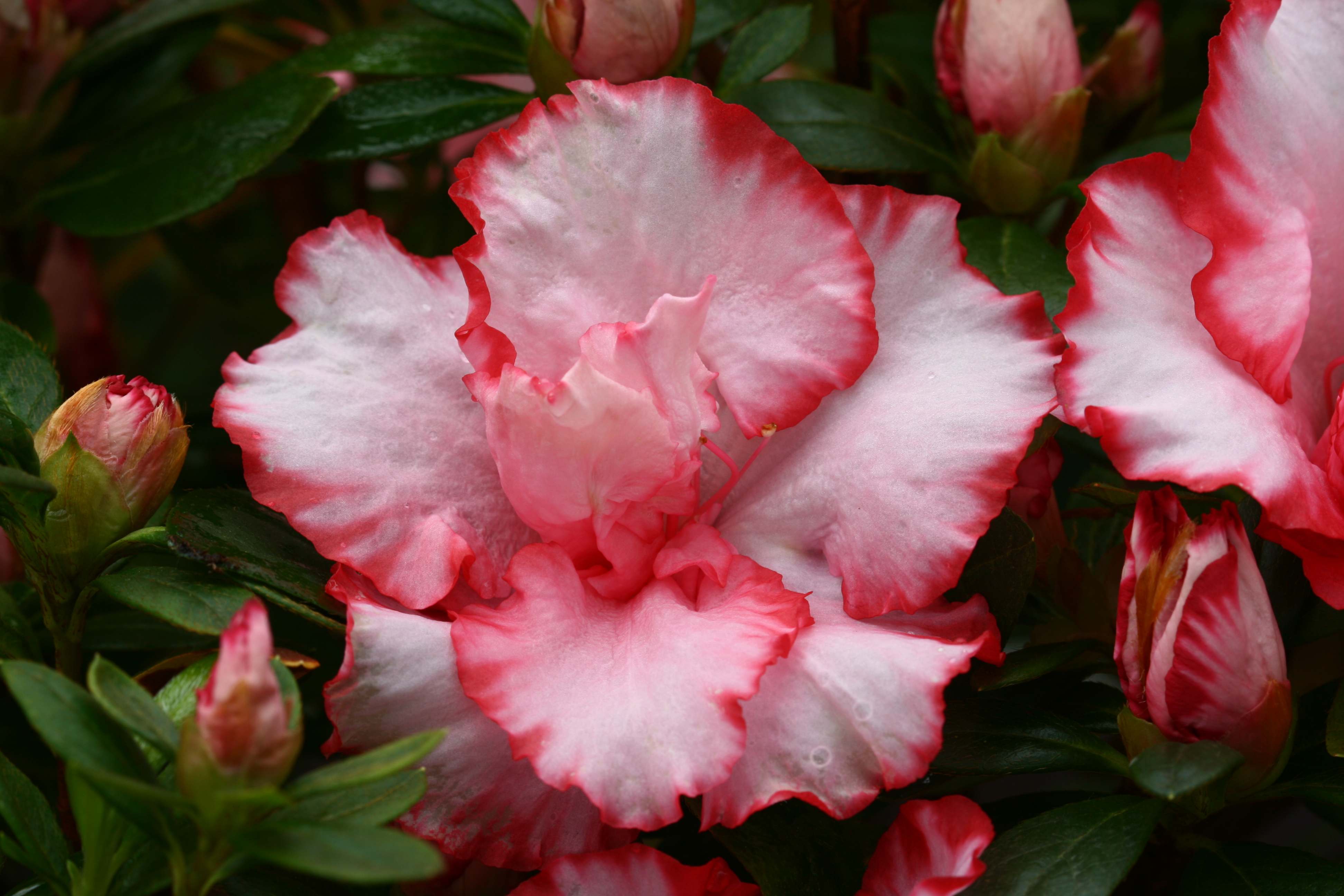 Schaubild 10