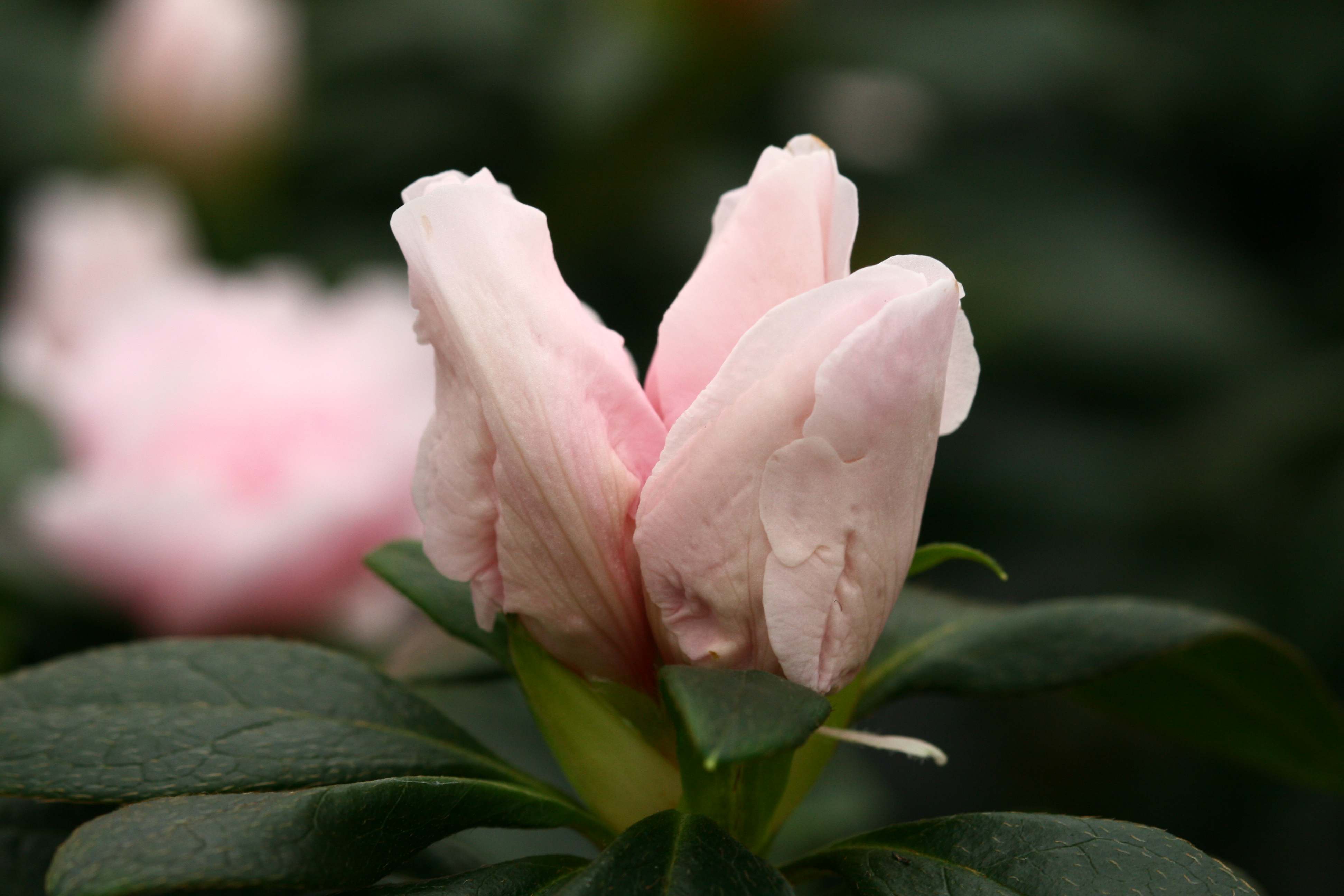 Schaubild 8