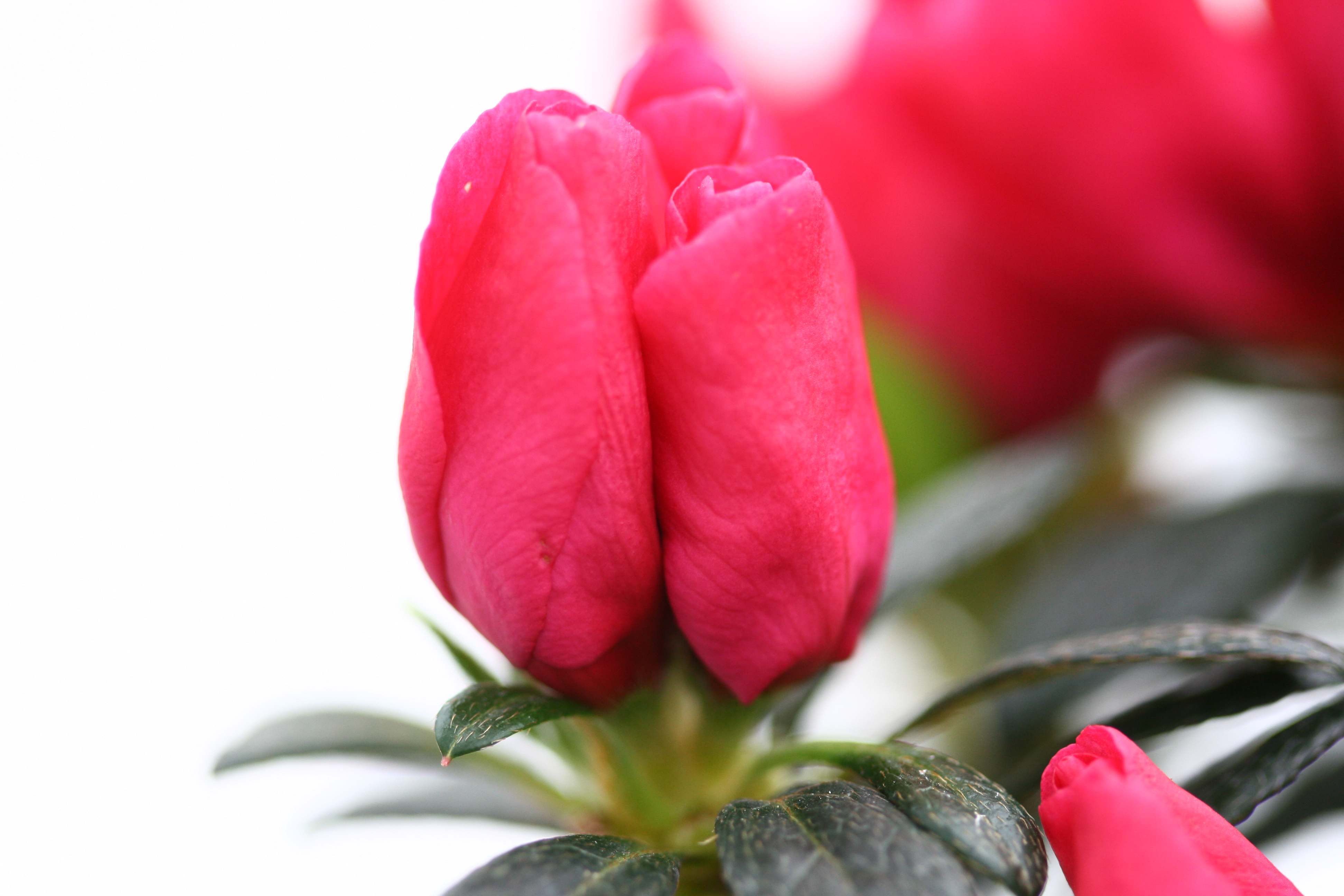 Schaubild 9
