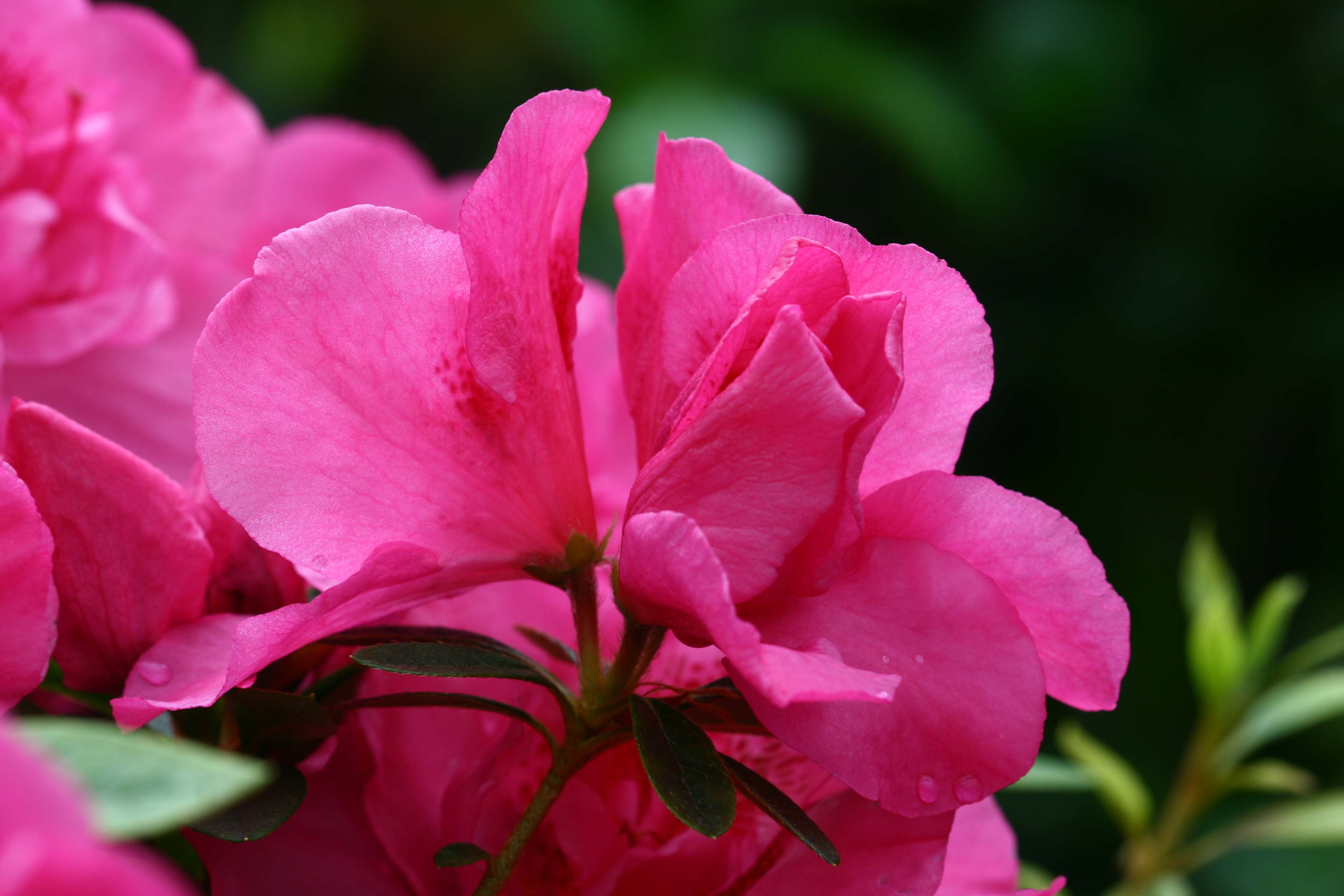 Schaubild 5
