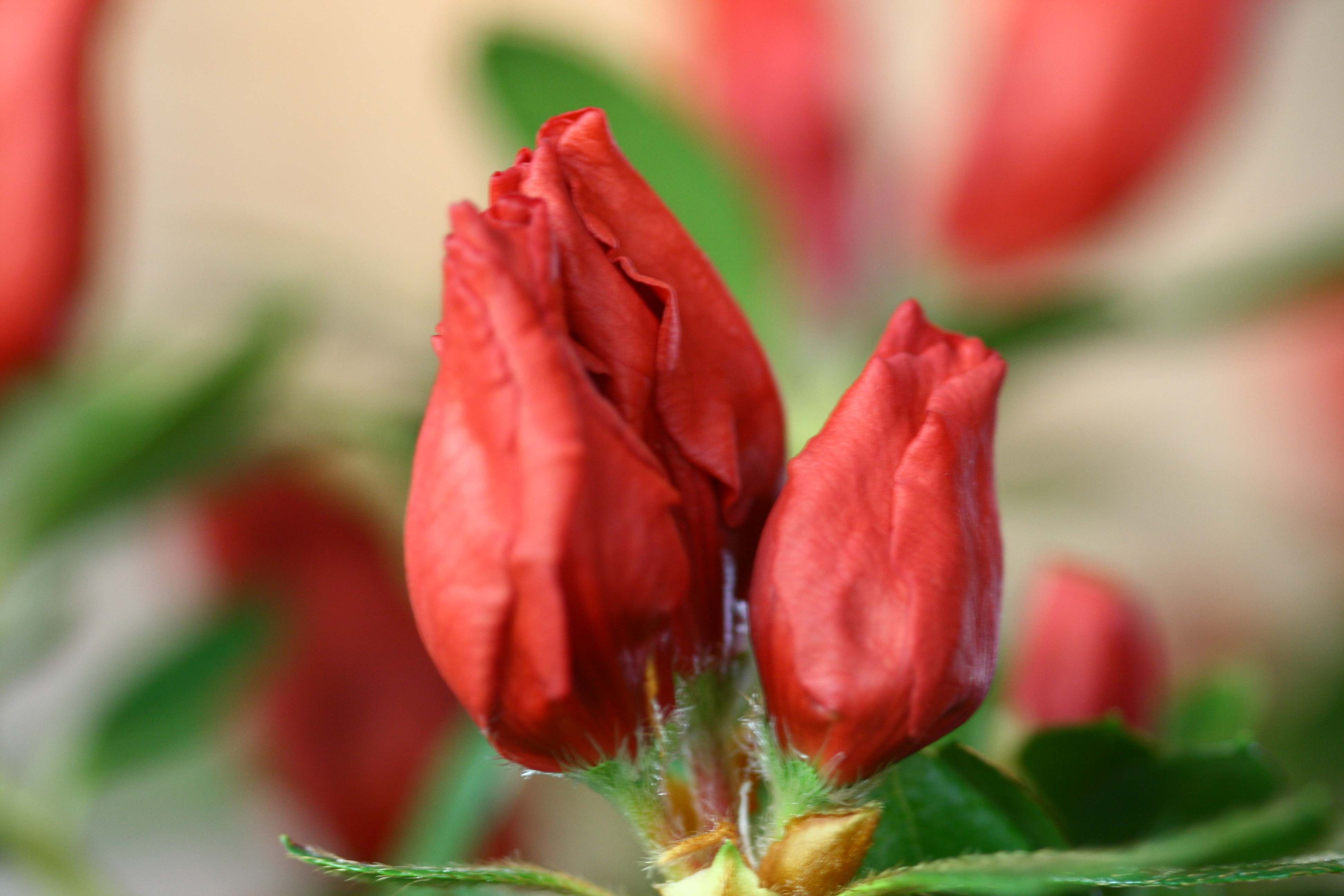 Schaubild 6