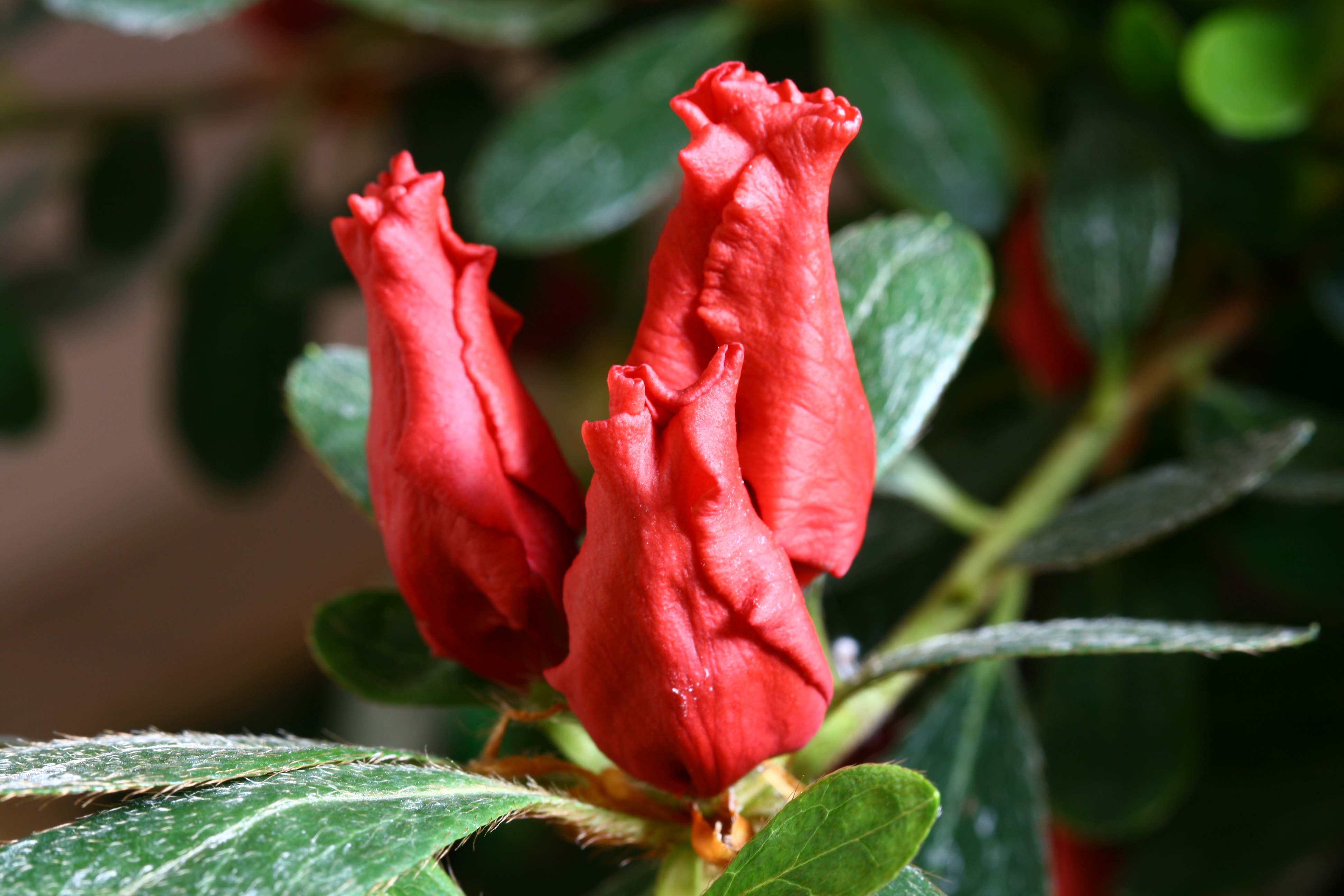 Schaubild 5