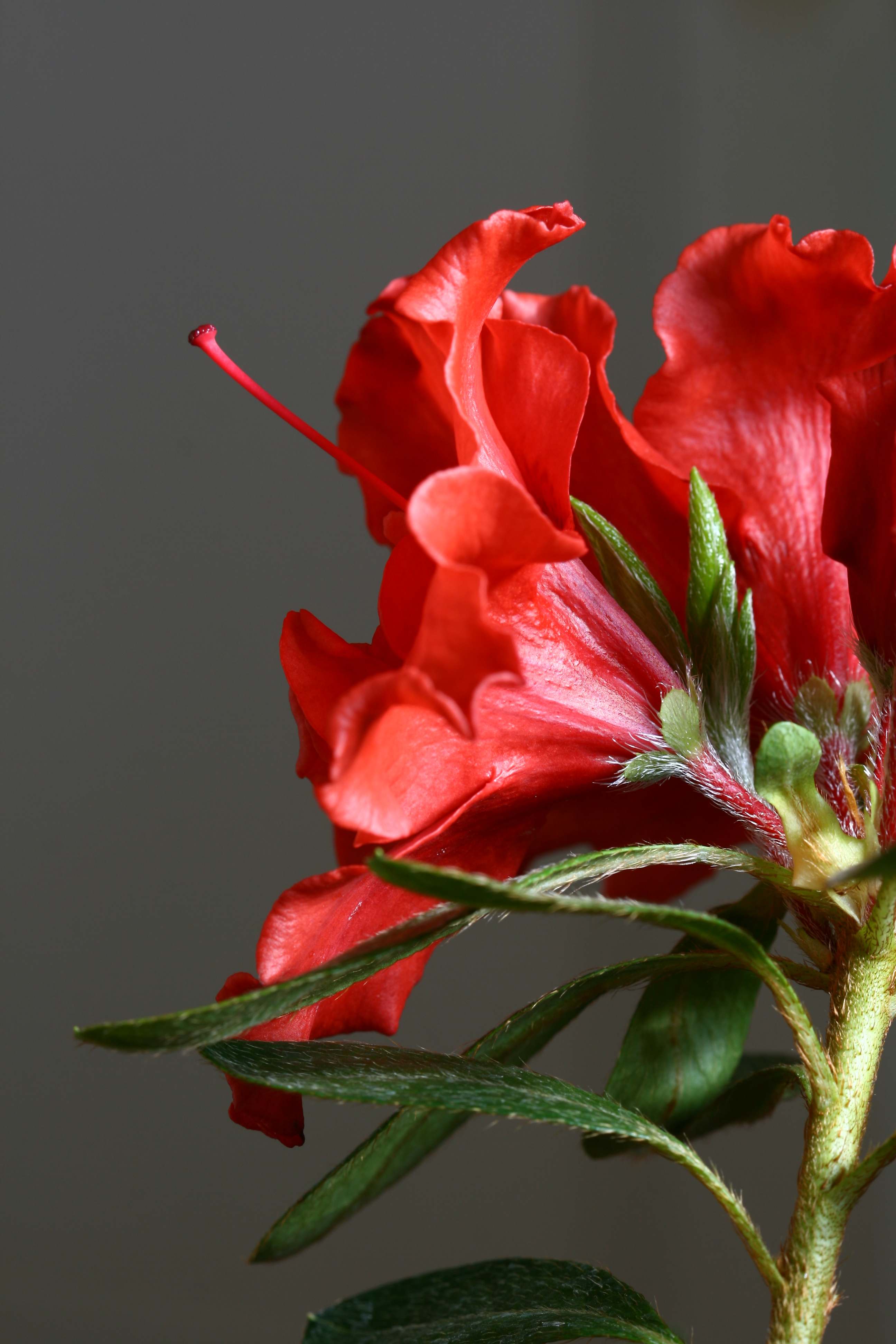 Schaubild 4