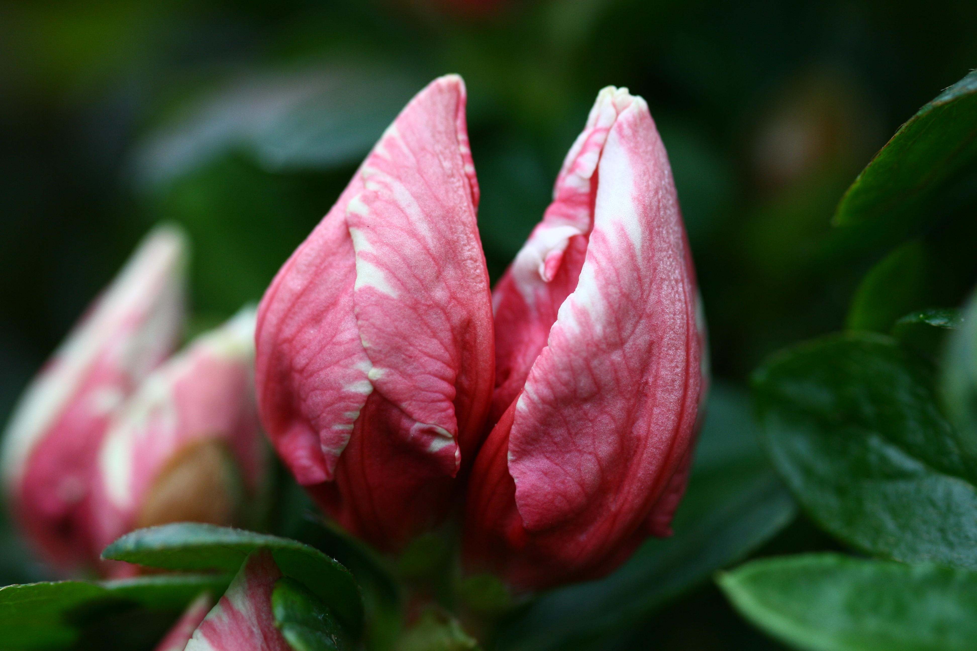 Schaubild 8