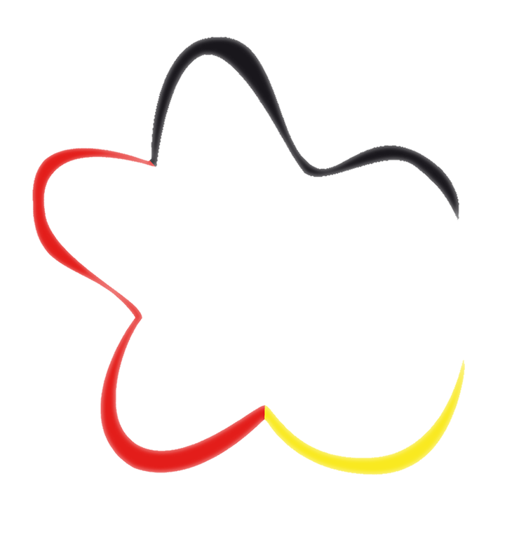 bsa_lang.modal.DGZLogo