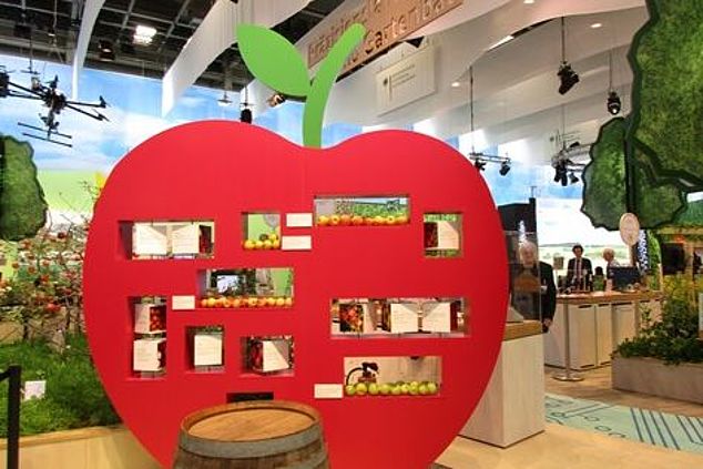 Apple model with colorful pictures