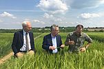 drei Männer auf einem Feld mit Gerste im Gespräch