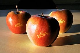 Durch Abkleben entstand das Logo des BSA auf dem Apfel.