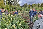 Mitglieder des Arbeitskreises im ADR-Prüfgarten Stuttgart-Hohenheim