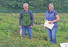 Zusammenarbeit beim Projekt ROGERES – Marcus Linde (Uni Hannover) und Susanne Haslage (BSA)