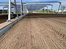 Agri-Photovoltaik-Anlage der Firma Steinicke in Lüchow