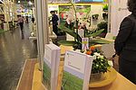 Im Vordergrund Broschüren und im Hintergrund eine Orchidee