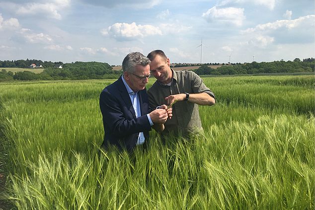 zwei Männer auf einem Feld mit Gerste im Gespräch