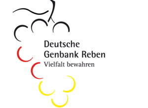 Logo Deutsche Genbank Rebe