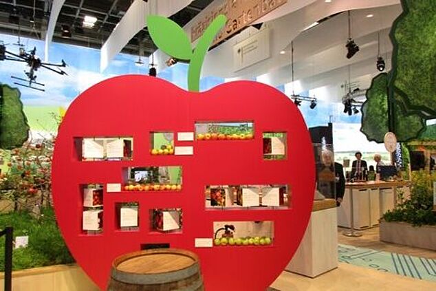 Apfelmodel mit bunten Bildern