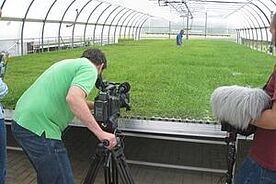 Mann bei Filmaufnahmen im Gew&auml;chshaus