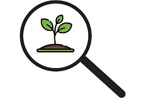 Picture of a magnifier with germinating plant