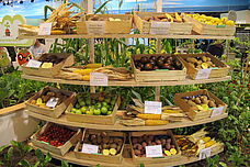 Regal mit &Auml;pfeln, Kartoffeln und Maiskolben