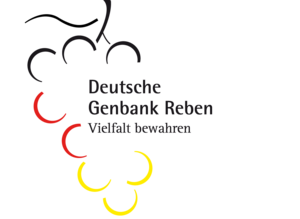German Gene Bank for Vines